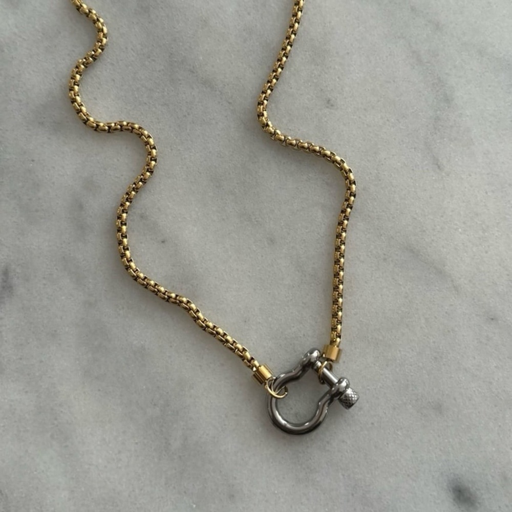 Silver Horse Bit Chunky Charm Clasp Carabiner Necklace

Brand New